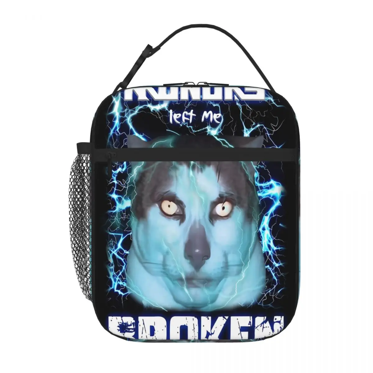 Bestselling MONDAY LEFT ME BROKEN CAT Quilted Insulated Tote After School Snack Student Lunch Bag