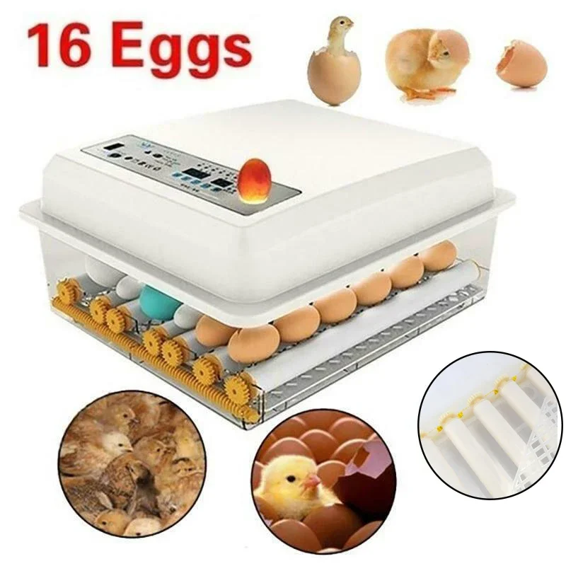 Household 16 Eggs Incubator Double Power Intelligent Automatic Egg Hatchers for Chicken Duck Goose Pigeon Bird Quail 110V 220V