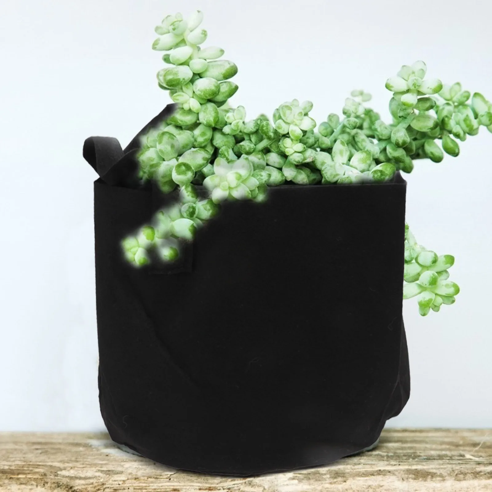 

5pcs Felt Planting Bags 10 Inch Round Grow Pouch Reusable Breathable Garden Planter For Indoor Outdoor Herb Vegetable Succulent