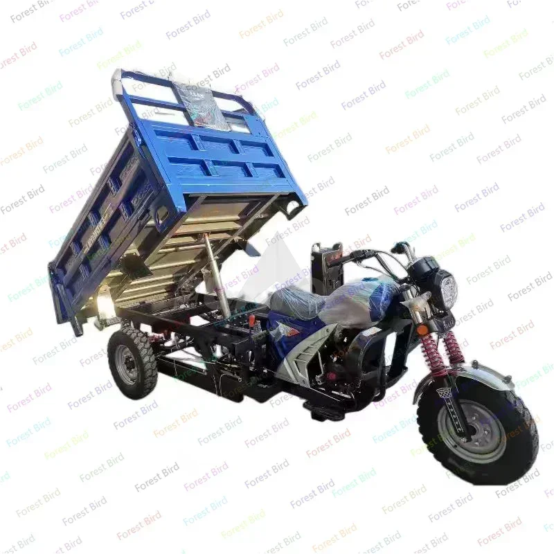 Heavy Duty Adult Truck 3 Wheel Cargo Gasoline Agricultural Tricycle