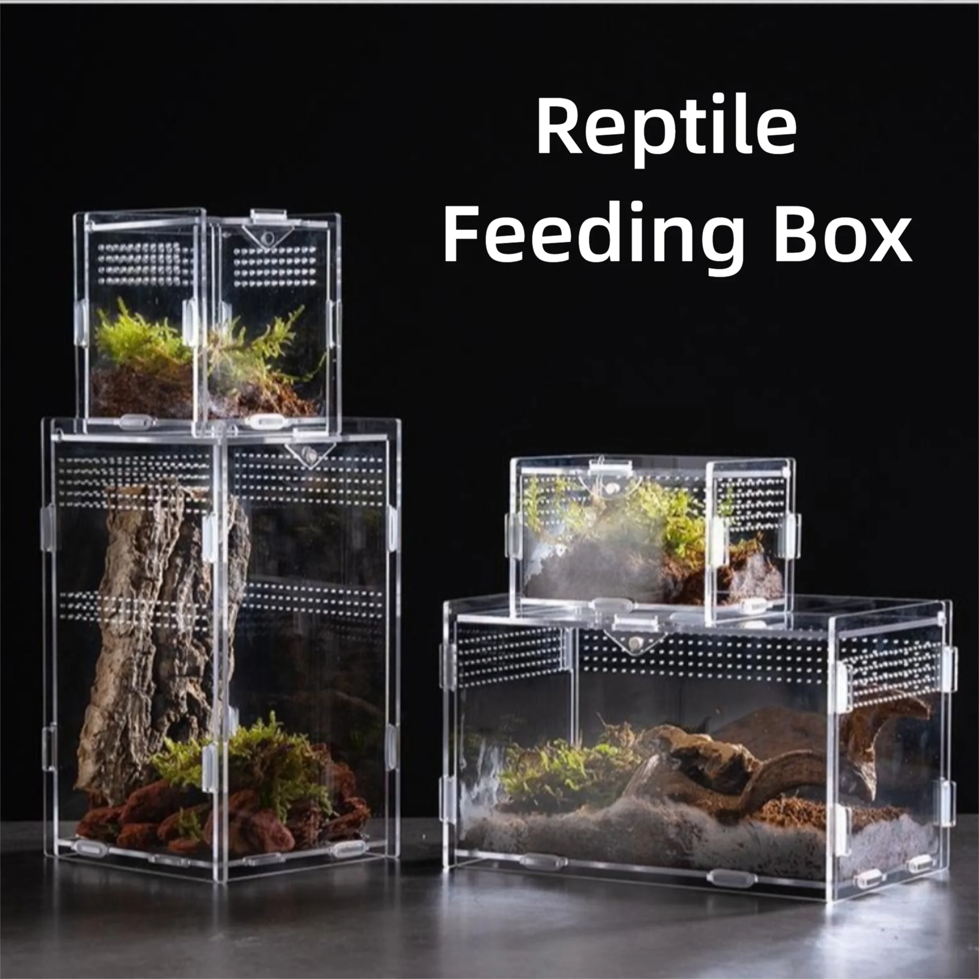 New Acrylic Reptile Habitat Anti-Escape Multiple Size Spider Feeding Case Arboreal Clear Lizard Breeding Box for Scorpion