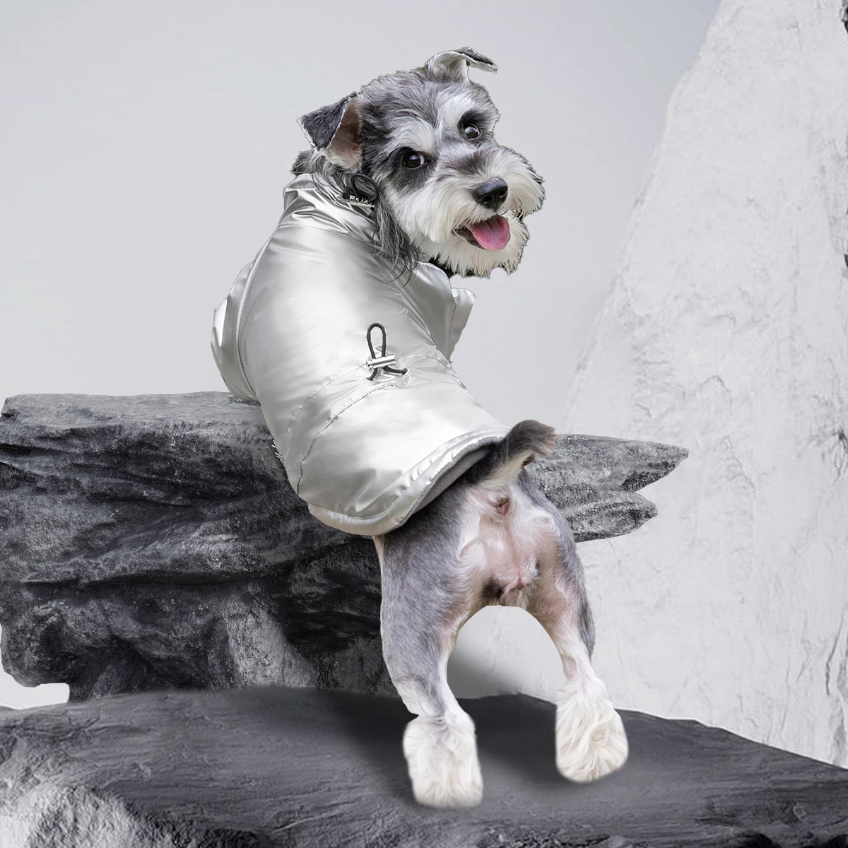 Shiny Padded Dog Winter Coat Stand Collar Drawstring Hem Windproof Pet Jacket Multi‑Color Warm Outfit for Small Medium Dogs