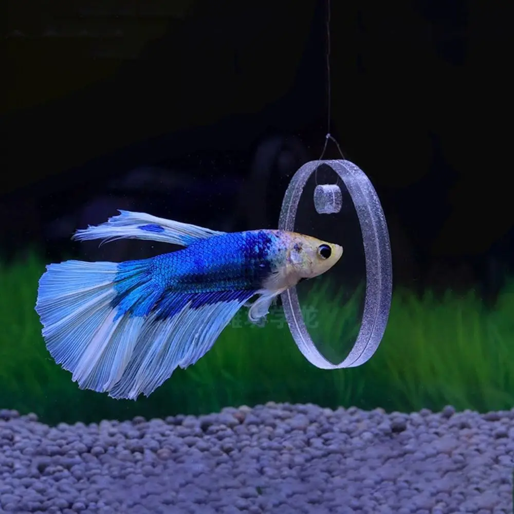 

Decorative Fish Training Mirror Acrylic Suction Cup Fish Tank Floating Mirror Round Single/Double Sided Fish Playing Mirror