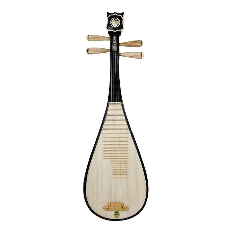 Pipa 594 Beginner Entry-Level Exam Performance