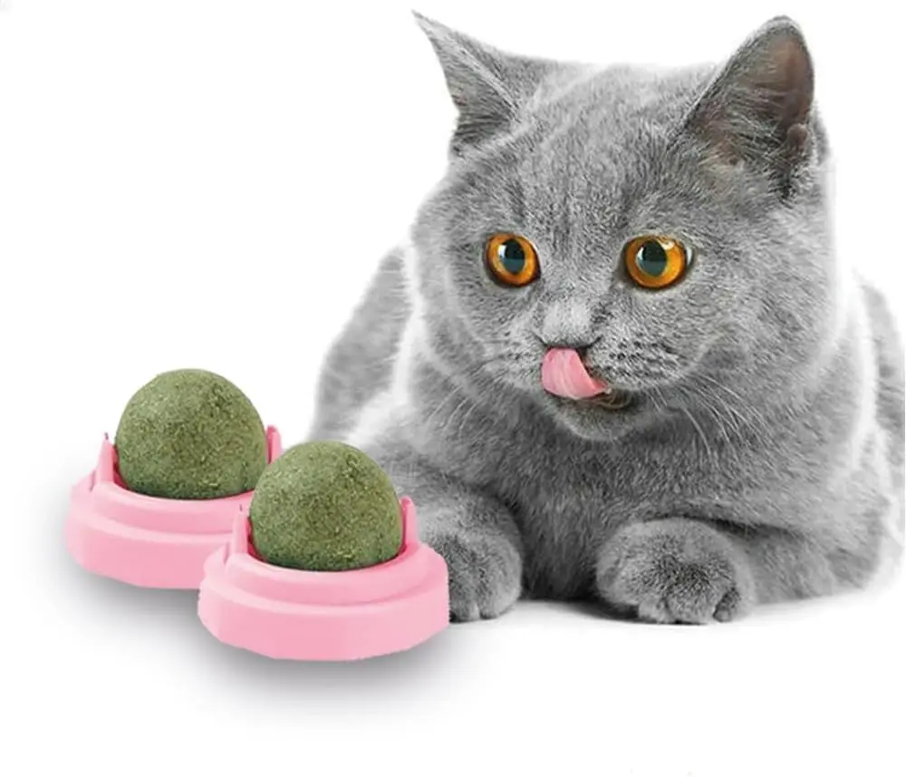 Natural Catnip Cat Wall Stick-on Ball Toy Scratchers Treats 