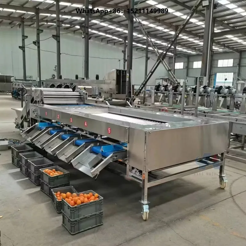 Automatic Orange Potato Tomato Sorting Machine Fruit Pear Bluecherry Grader Classifier 304 Stainless Steel 2t/h High