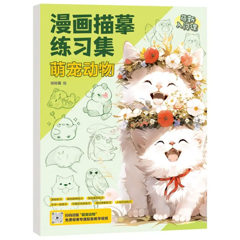 Fumetti Ragazza Ragazzo Fumetti Tutorial disegnato a mano Libro Studiare Apprendimento Linea Bozza Pratica Libro Principiante Zero Arte di base Tracciamento Schizzo