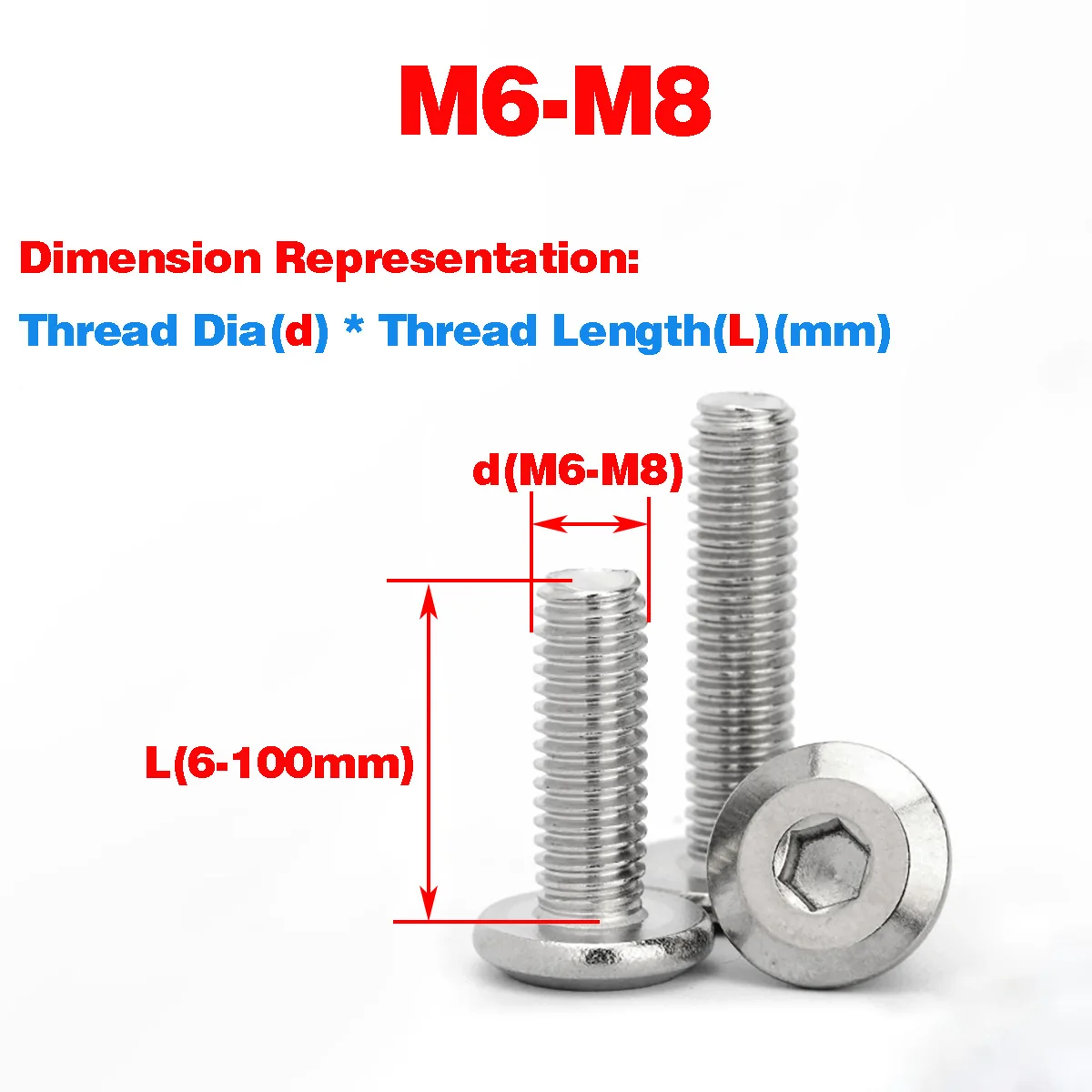 

304 SS Flat / Round Head Chamfered Hexagon Socket Screw /Furniture Screw / M6M8