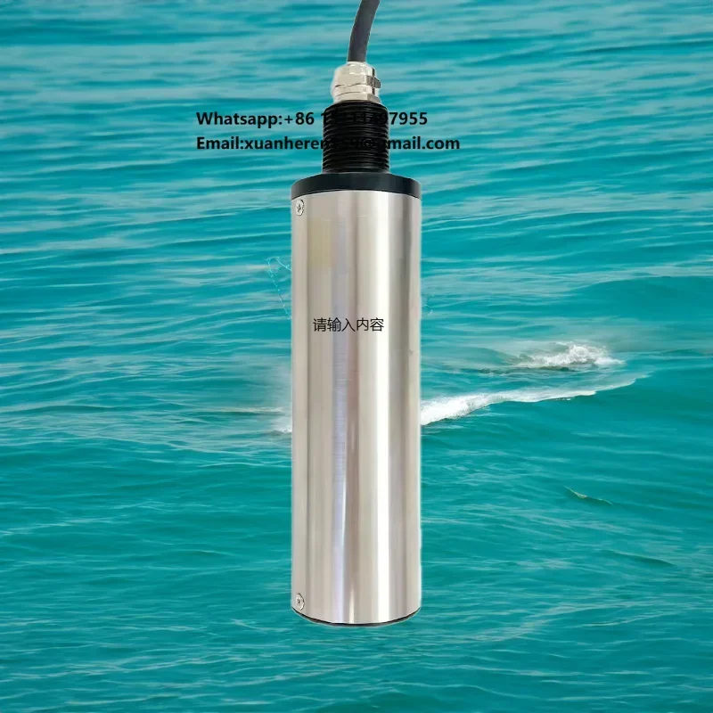 Marine Water Monitoring River Lake Blue Green Algae Sensor High-quality Stainless Steel Online Blue Green Algae Probe