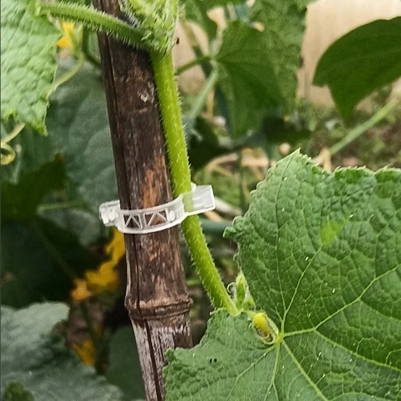 Gardening Plant Clip Rose Tomato Vine Clip Plastic Plant Fixing Clip Fast Delivery