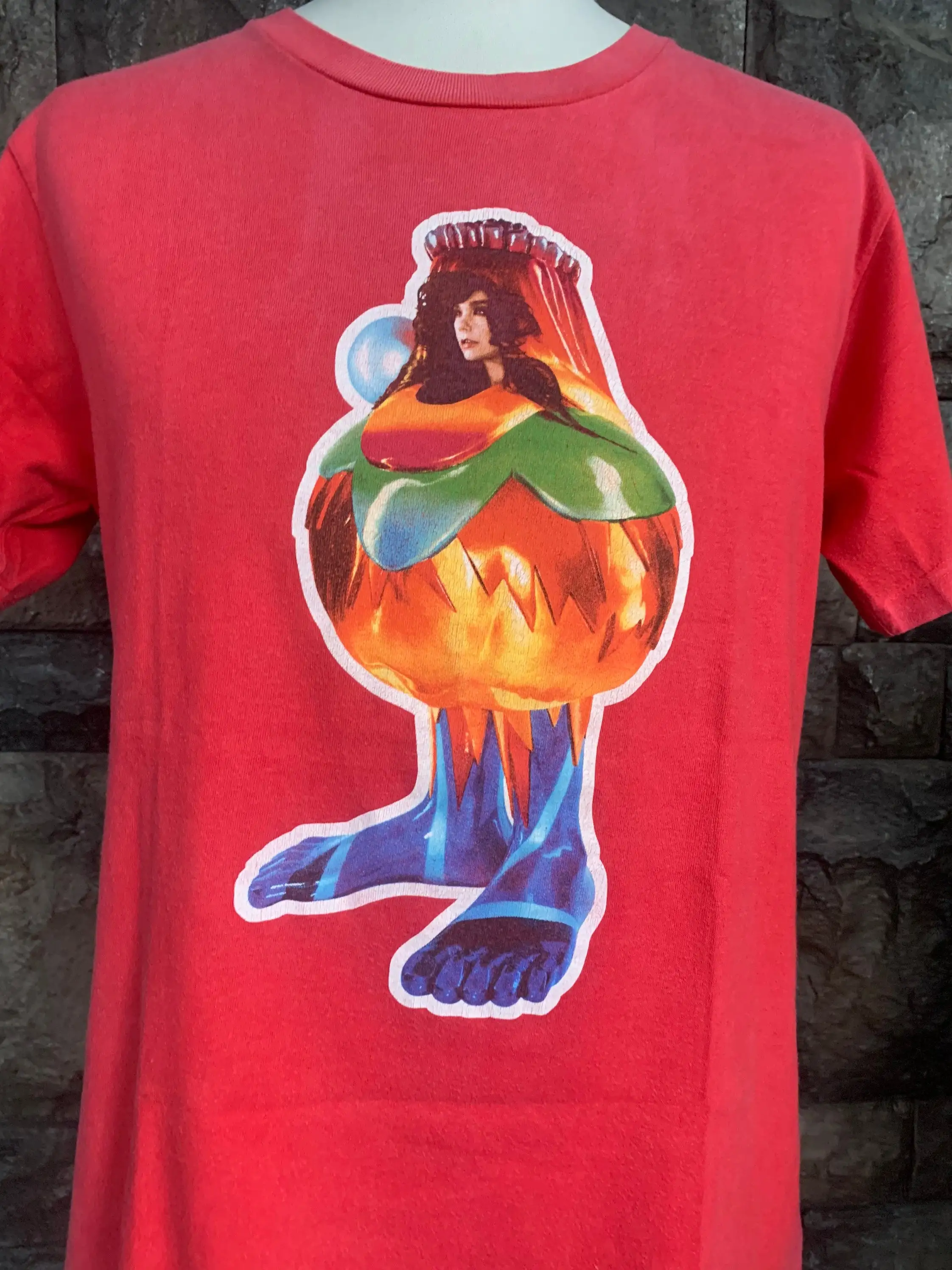 Vintage 00s Bjork Volta Promo Album T Shirt