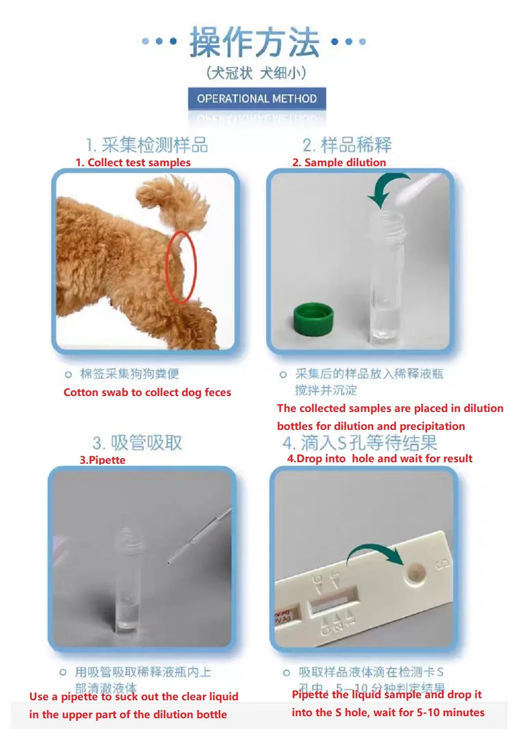 Dog Parvovirus Detection CPV Parvovirus Test Card 20 copies