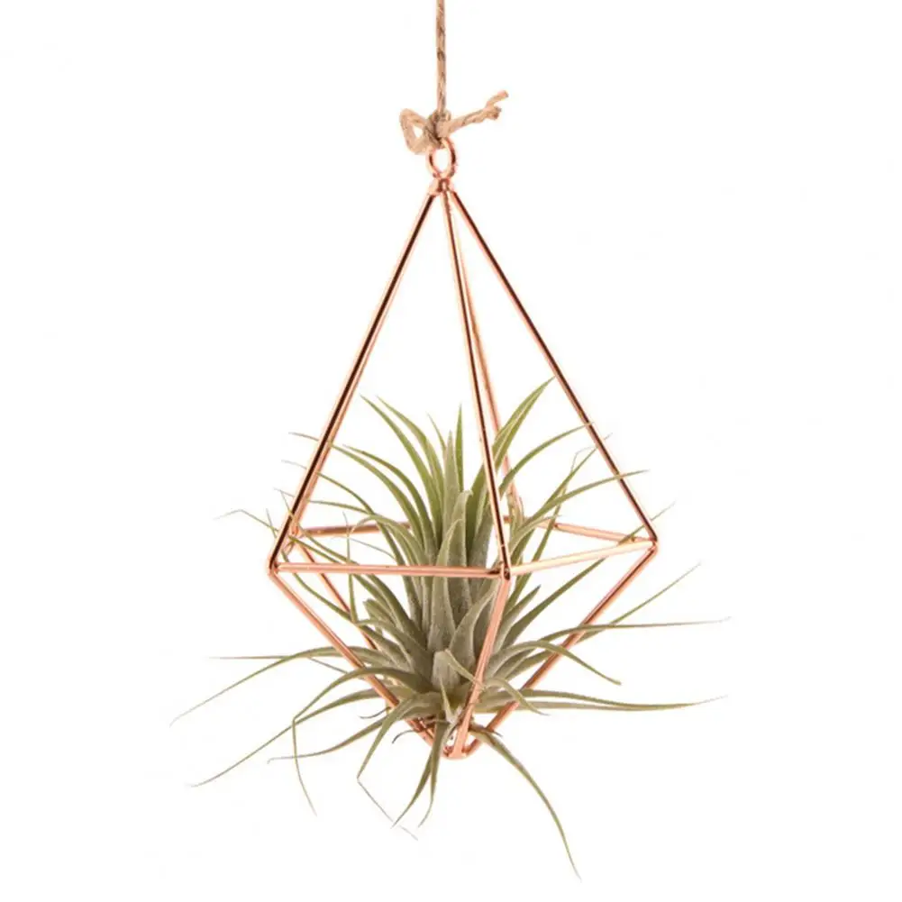 Metal Plant Stand Air Plant Holder Geometric Glass Terrarium Propagation Station with Iron Stand Colored for Home for Plant