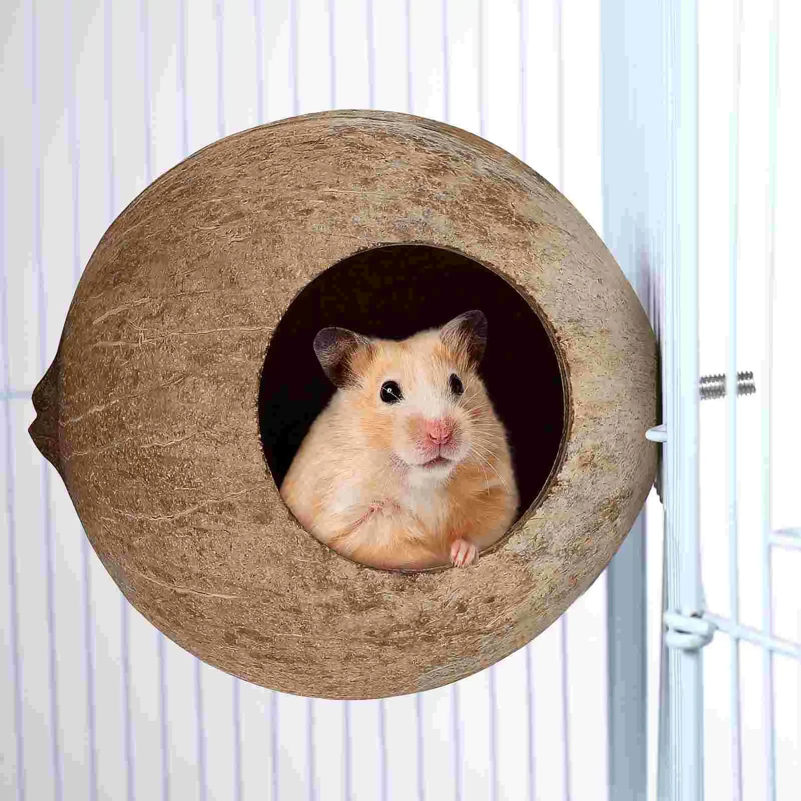 Garden Delicate Squirrel Pet Bird Shell Coconut Hamster Crafts Breeding Toy For Pendant Nest House