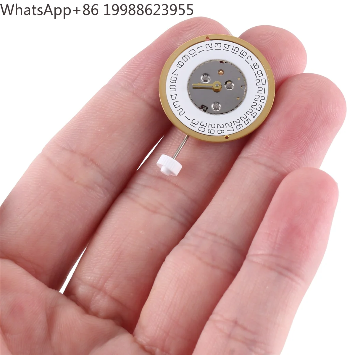Quarzwerk-Uhrenzubehör, 6 Juwe – Jewels In Quartz Watches Bewertung und Preis