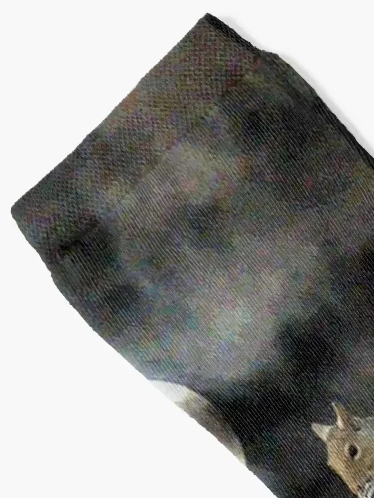 Squirrels In Space Socks Argentina gift cool hockey Socks Woman Men's