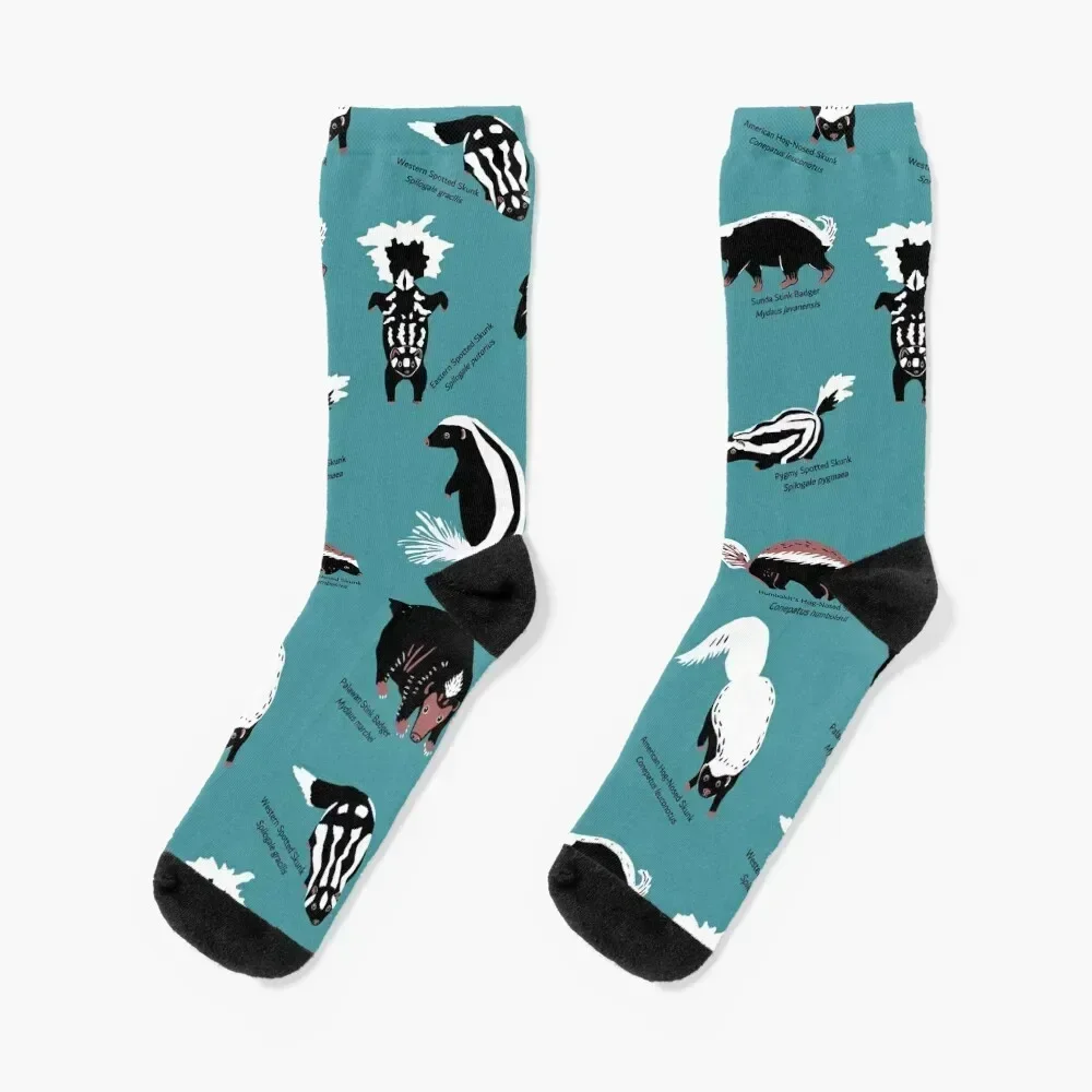 Skunks of the World: Species of Family Mephitidae Socks custom christmas gifts fashionable Running Boy Child Socks Women's