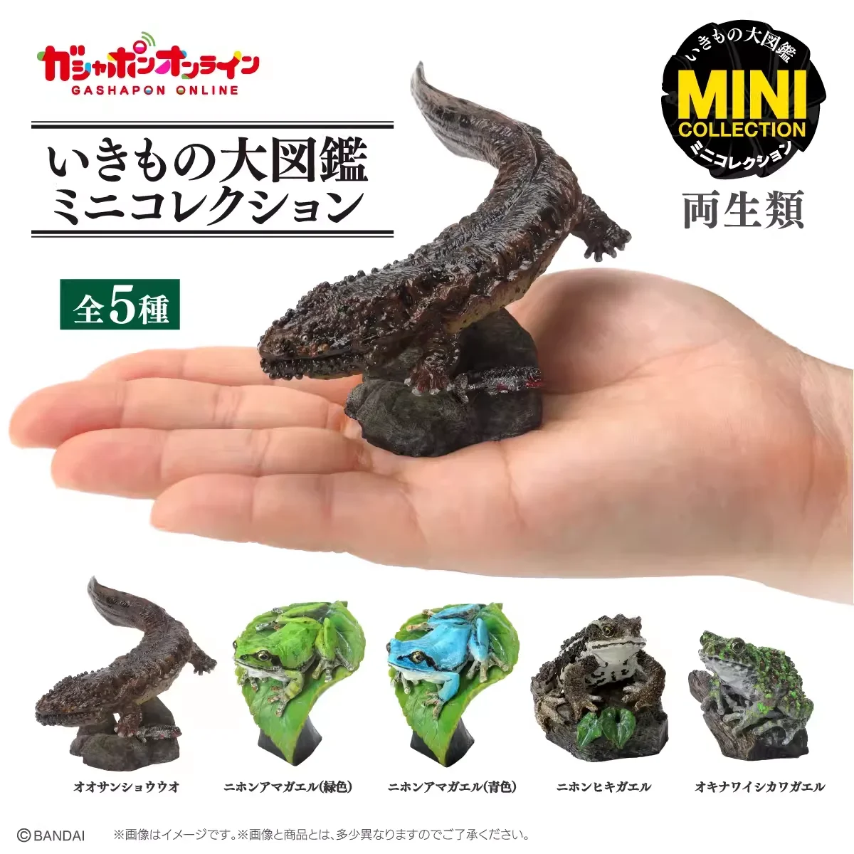 Japanese Genuine Gacha Scale Model Mini Biological Cognitive Model Amphibians Chinese Giant Salamander Toad Action Figure Toys