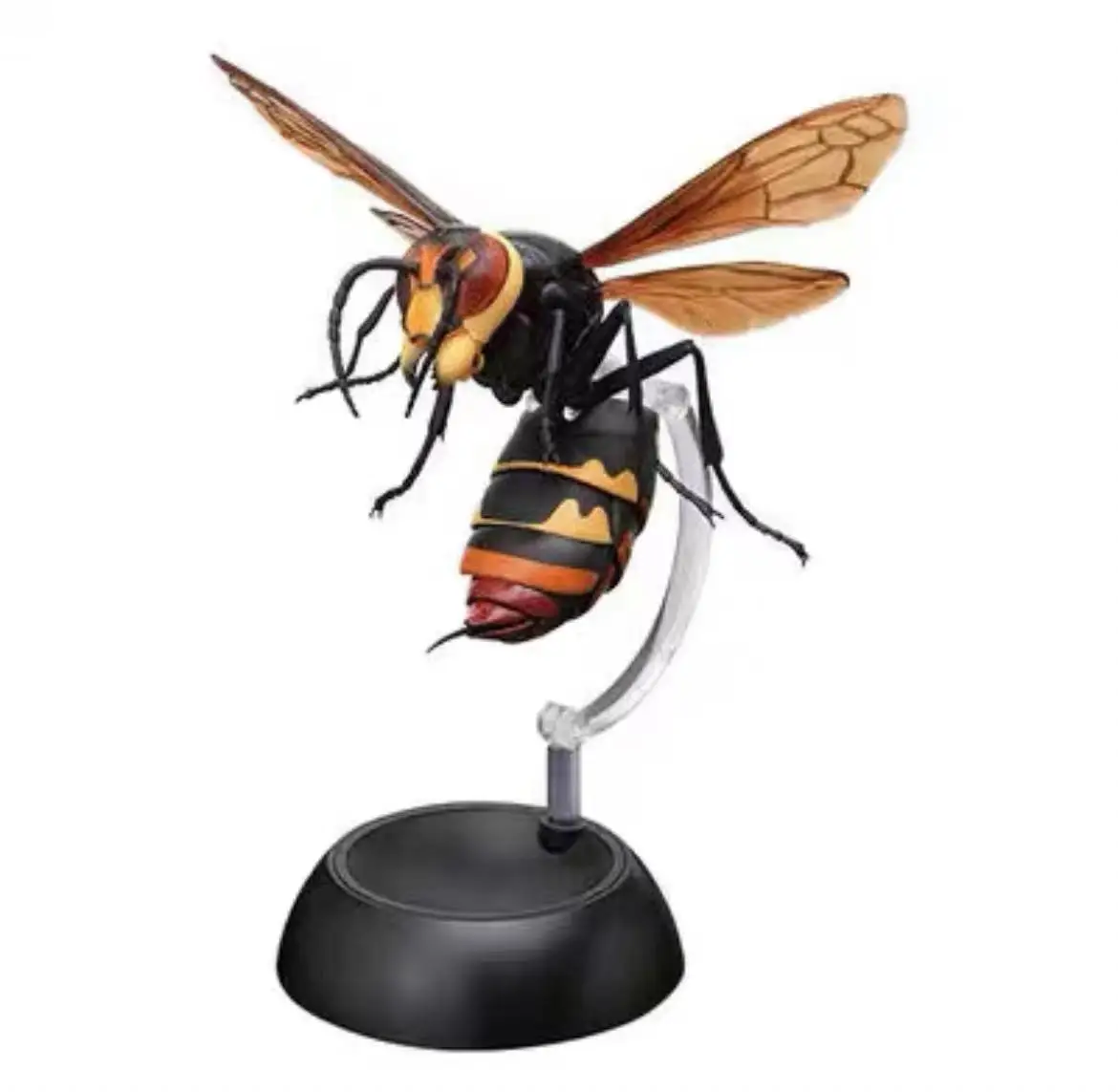 Bandai Gashapon Insect Encyclopedia Figures Wasp Honeybee Honeycomb Vivid Nature Animals Action Figures Model Kids Toy