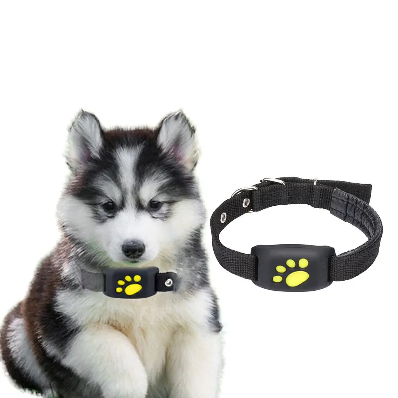 

Coofull: Новинка! Оптовый GPS-трекер для животных с увеличенным радиусом действия от OEM-поставщика (золотой поставщик), с поддержкой SIM-карты