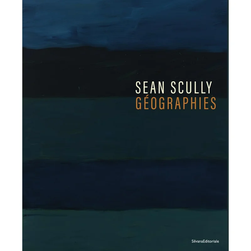 

Sean Scully Beate Reifenscheid Silvana 9788836658077 Book