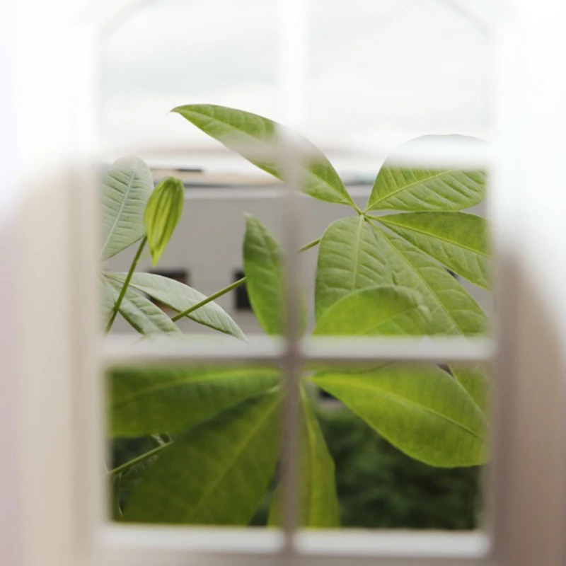 1/12 Dollhouse Miniature 6-Pane Windows Model Doll House Handcrafted Furniture Model DIY Decor Accessories