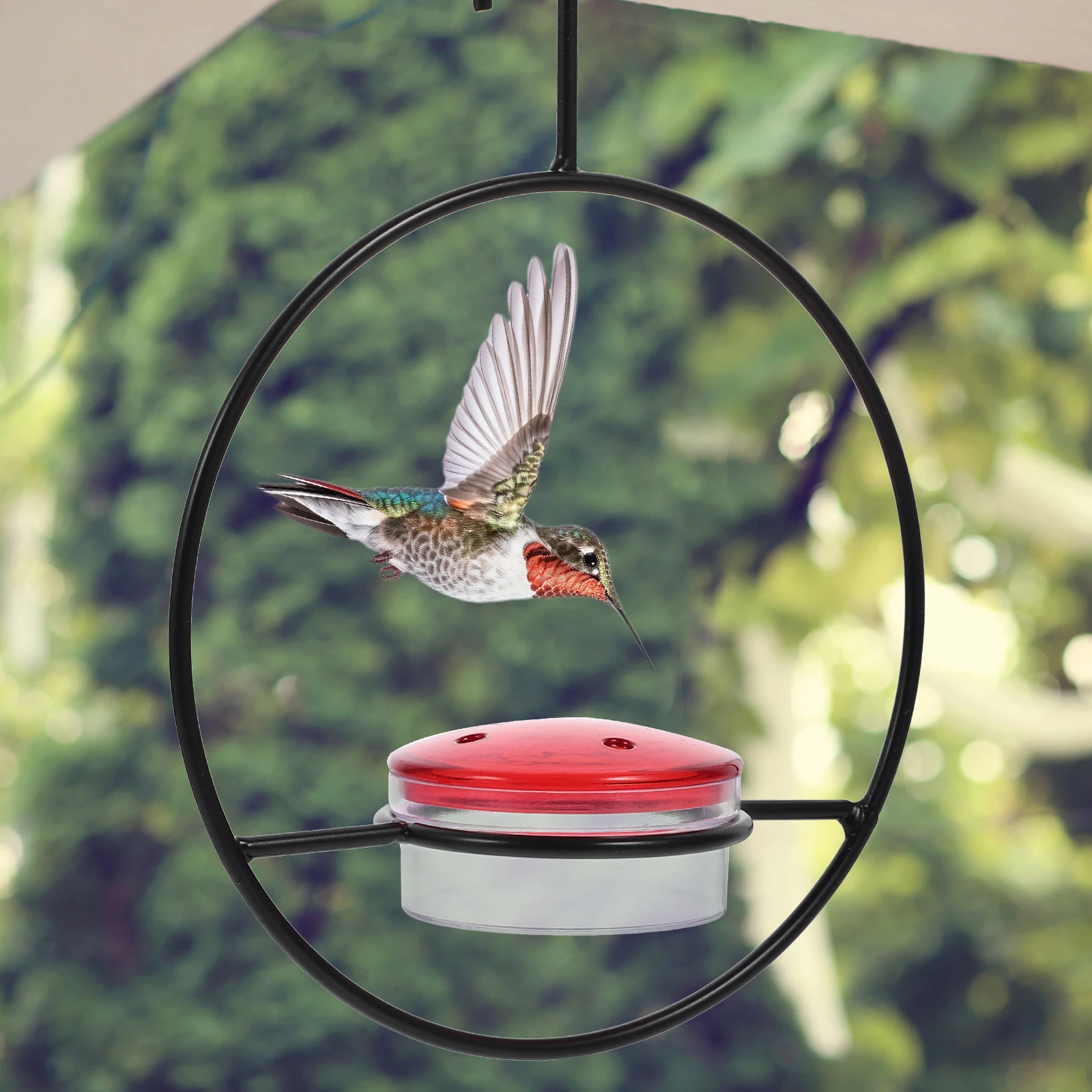 

Feeder Water Hummingbird Waterer Outdoor Garden Decorations Feeders for Outdoors