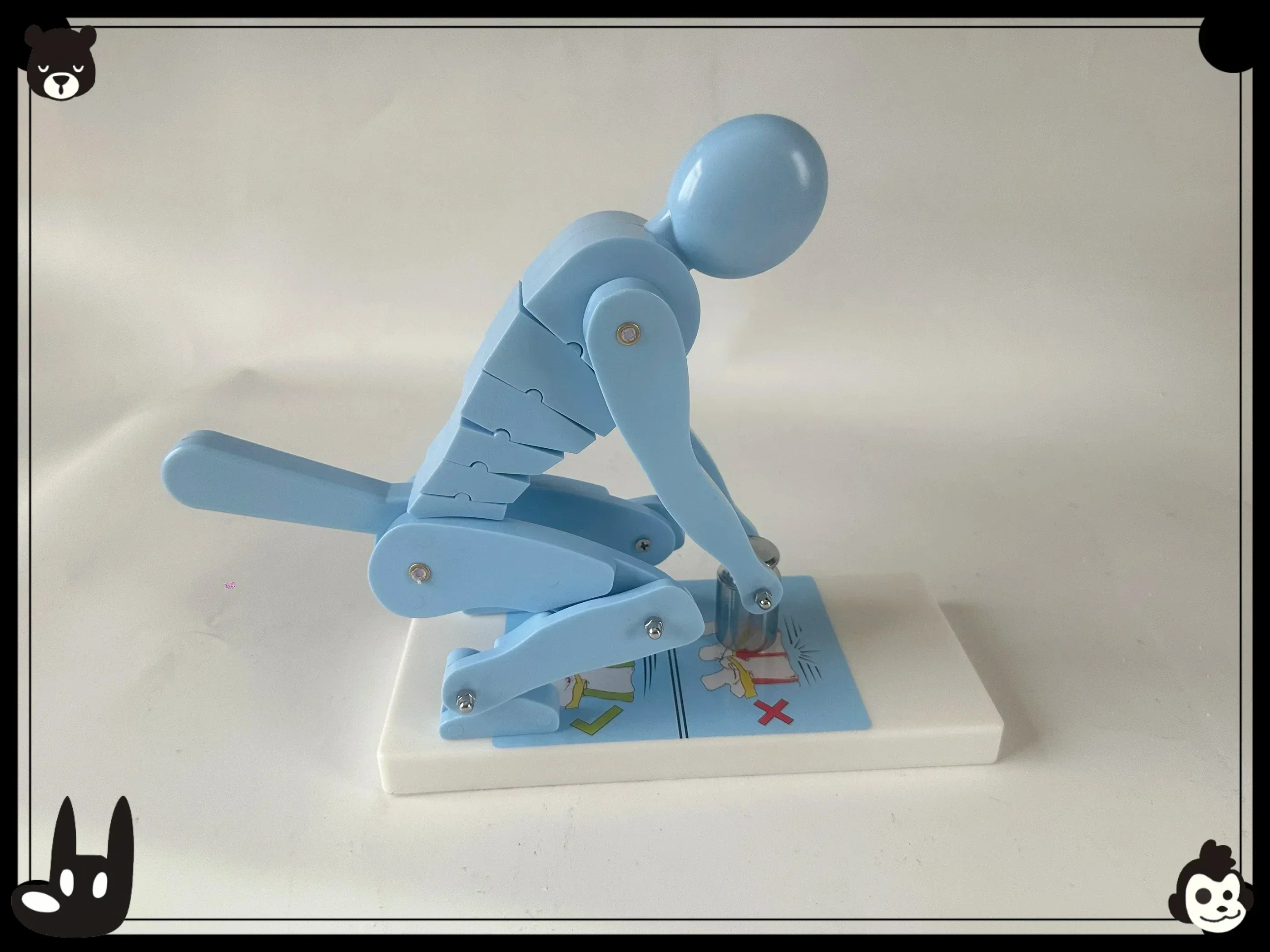 

Human body bending, weightlifting, spinal stress demonstration model, fitness weight, correct posture demonstration,