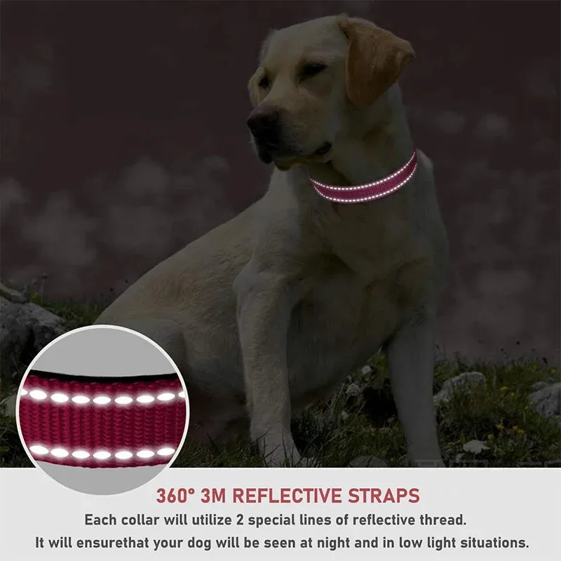 

Reflective Dog Collar Adjustable Nylon Safety Collar with Buckle for Small Medium Large Dogs Night Walking Pet