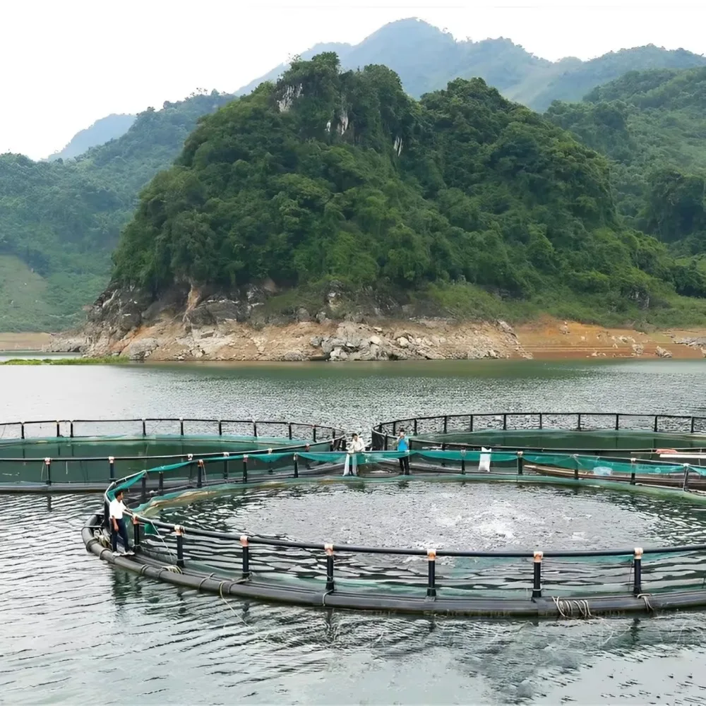 Vietnamese manufacturers produce aquaculture cages, floating aquaculture traps, and agricultural equipment is cheap