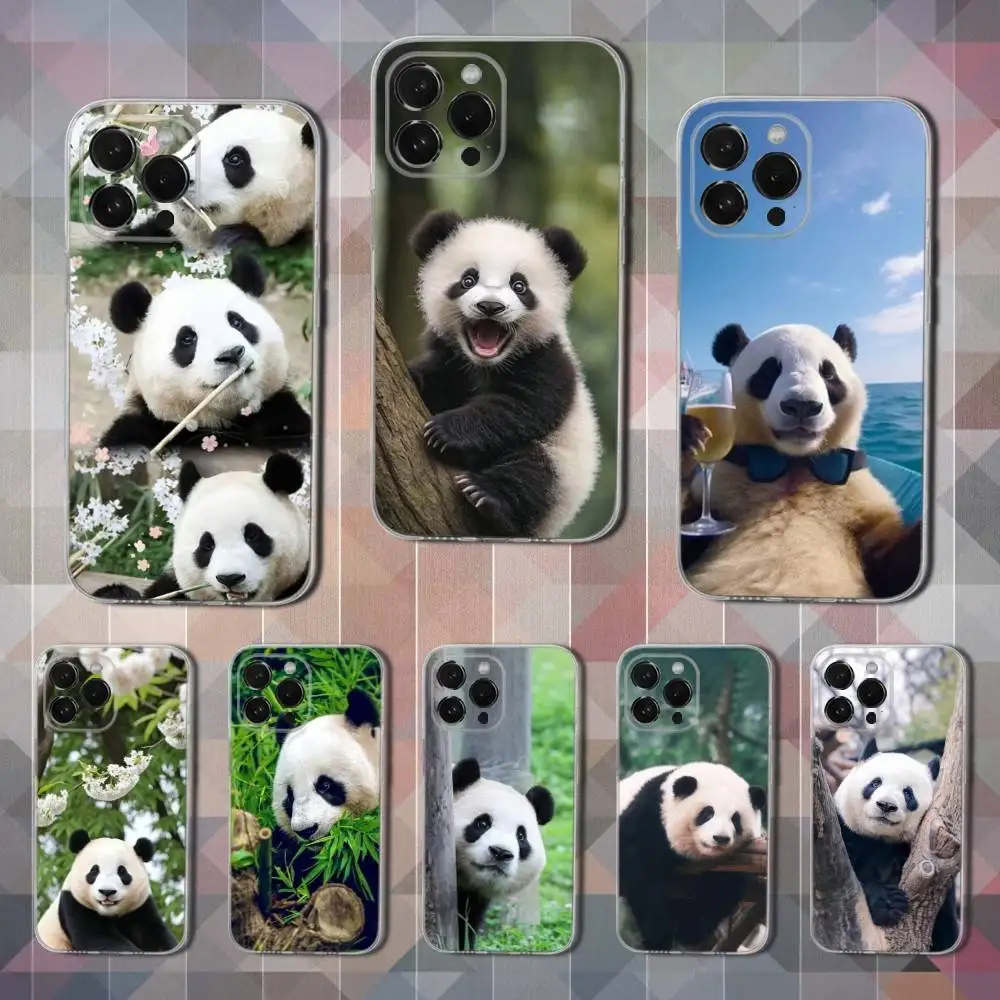 

Animal Panda F-Fubao Phone Case For iPhone 16,15,14,13,12,11,17 Pro,Max,Plus,X,XS,XR,SE,Mini Transparent Soft Cover