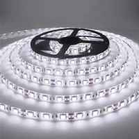 DC 12V LED Strip Light Kit SMD 2835 White 6000K LED Lighting Strip Set Tape 10M 5M Waterproof Tape Light Led Strips Home Decor