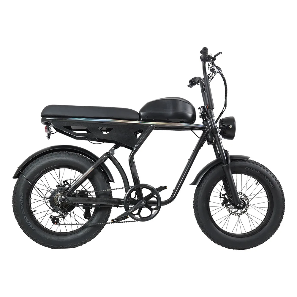 New 20-inch Aluminum Alloy 750-watt High-power Motor With Shock Absorber Lithium Battery To Help Dual-purpose Mountain Bikes