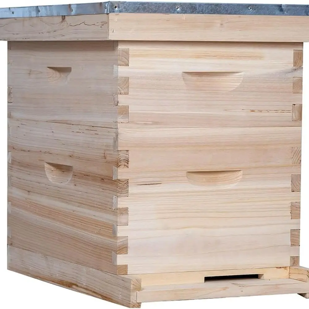 Kit completo de colmena de 10 marcos: 1 caja de castor profundo y 1 súper mediano con marcos y fundamentos