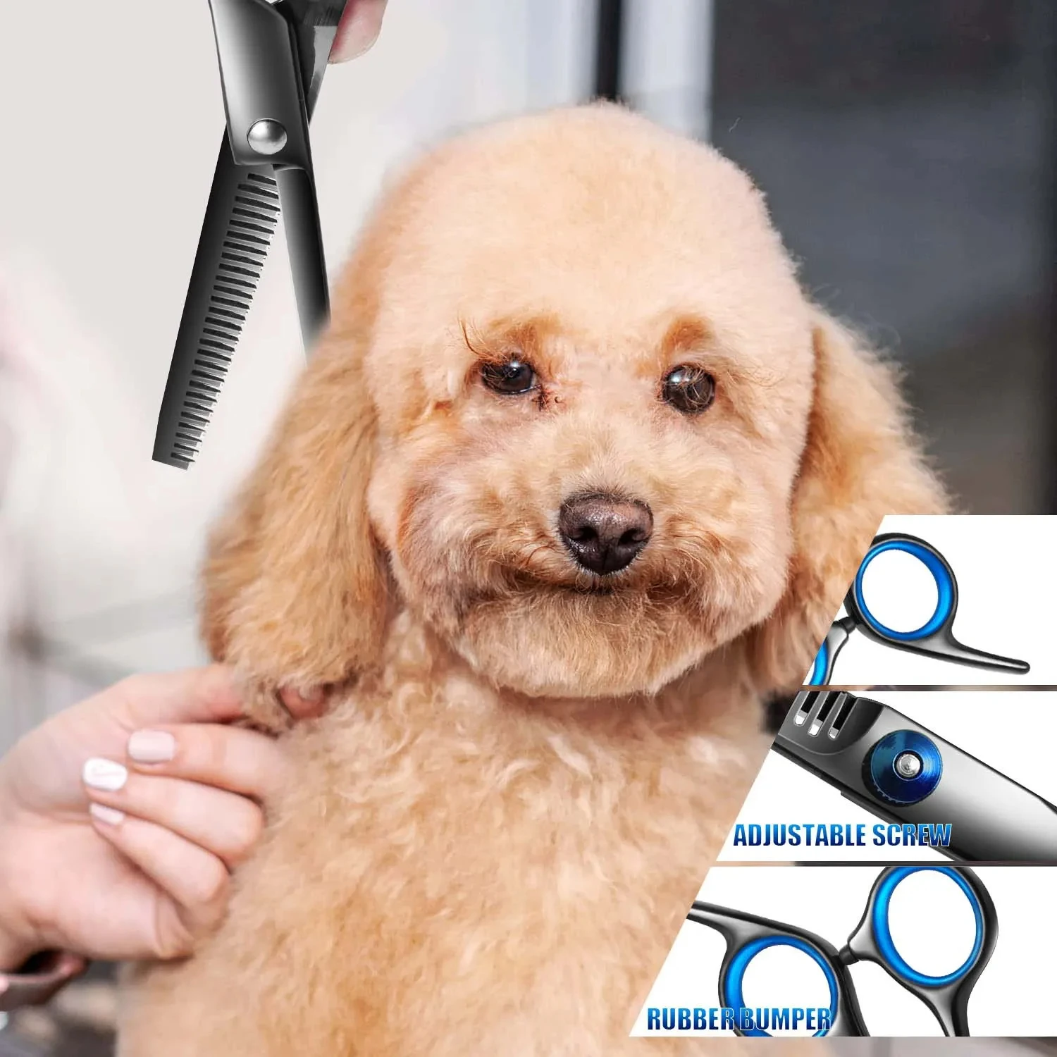 Premium Titanium Coated Dog Grooming Scissors with Safety Round Tips - Professional Grade Kit for Precise and Safe Trimming