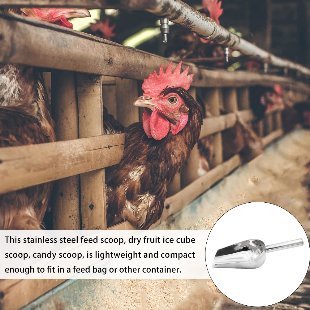 

Stainless Steel Feed Shovel Scoop for Livestock Farming Rice Fodder Ergonomic Handle Multi Functional Practical Ice