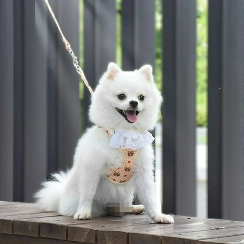 New Pet Collars Breathable Vest Style Pet Harness with Leash Adjustable No-Pull Cat Dog Lead for Small Breeds Dogs Accessories