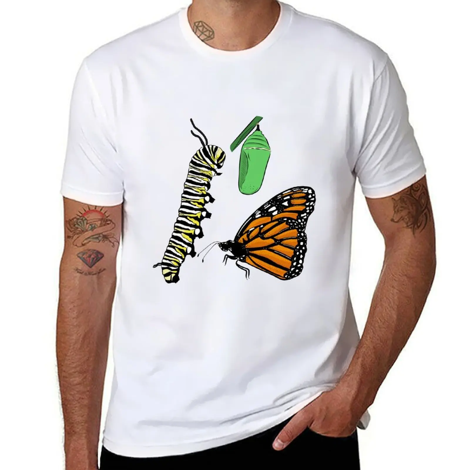 

Metamorphosis of a Monarch Butterfly T-Shirt t shirts for man pack white funny t shirts man T-Shirt