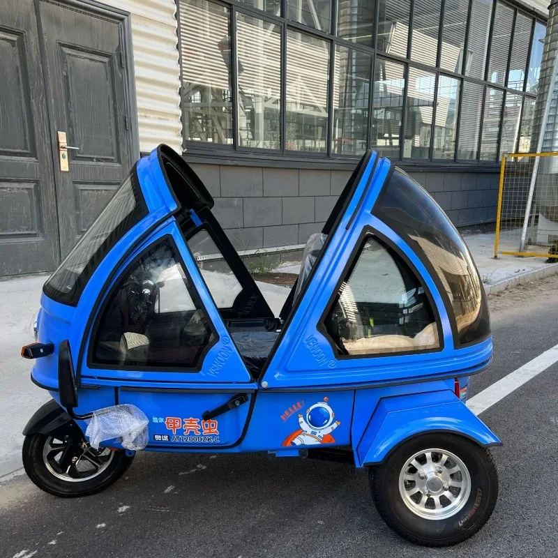 

Mini Beetle Convertible Electric Tricycle