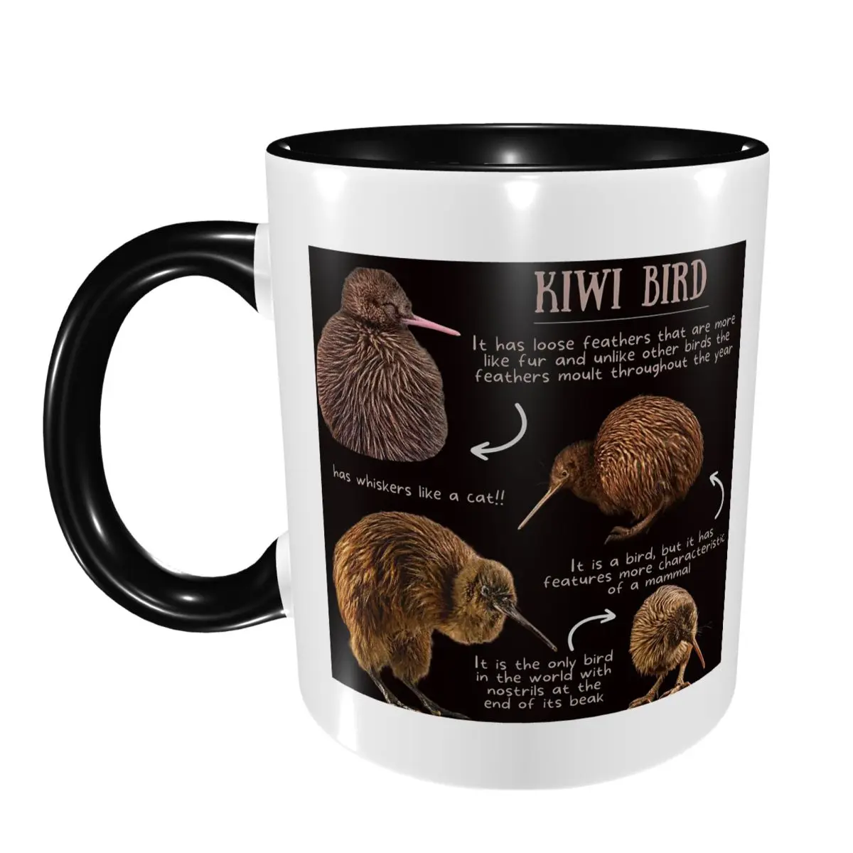 Kiwi Bird Fun Facts Mug Funny Ceramic Coffee Cups Tea Mugs Milk Cup Drinkware Gift for Woman Man