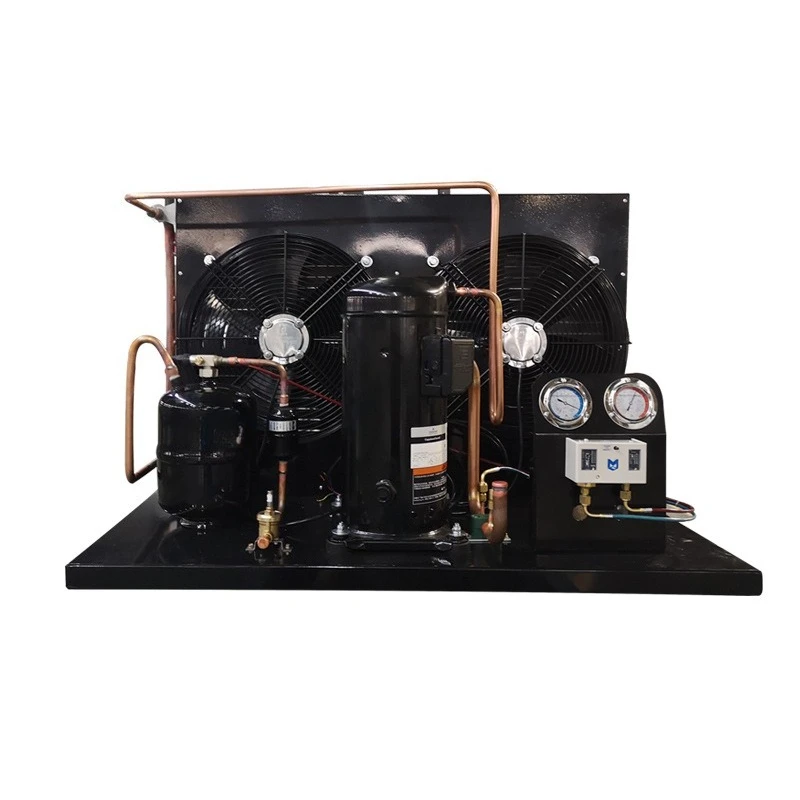 

Open air-cooled unit Canggu scroll compressor cold storage