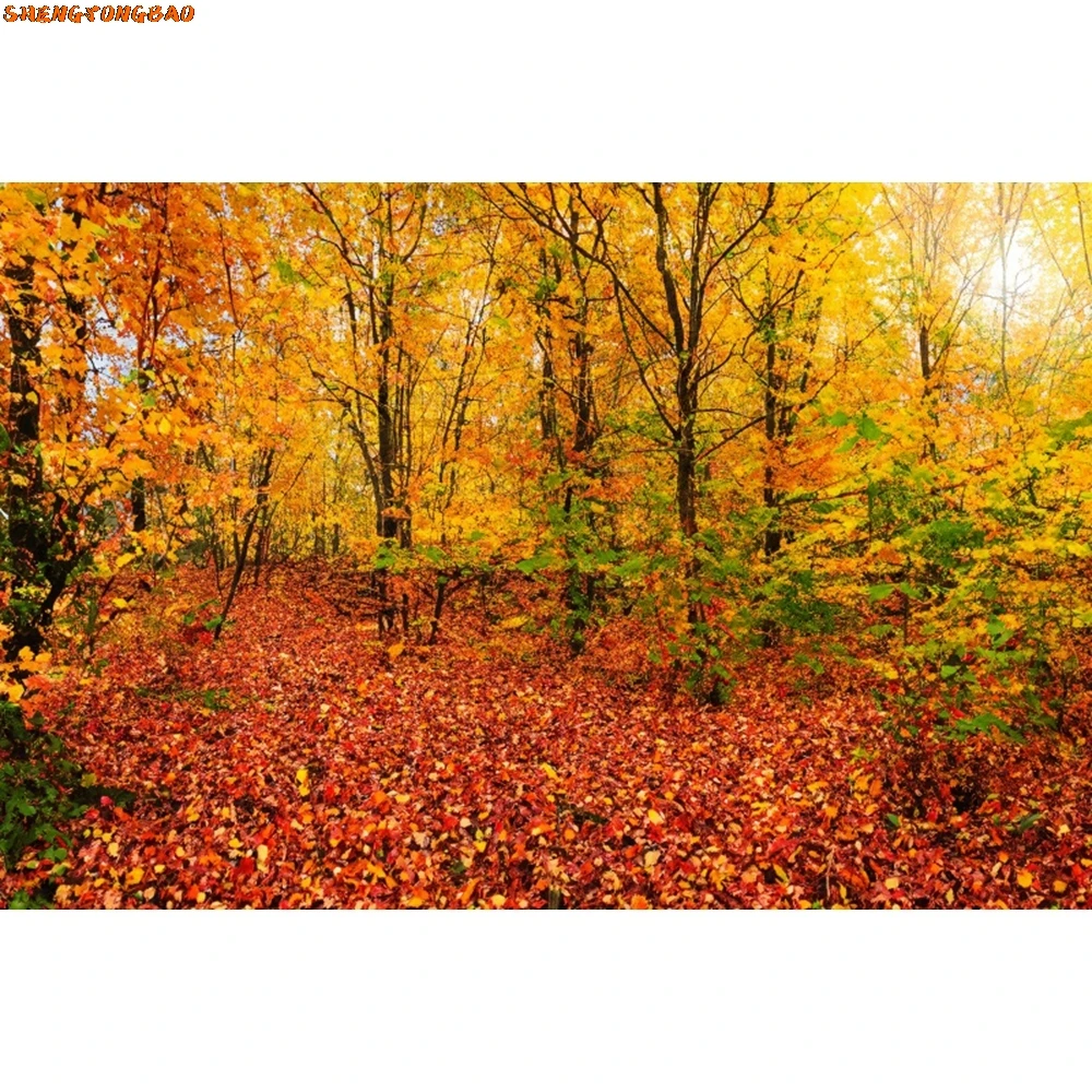 Herbst-Hintergrund für Fotografie, Bergstraße, Wald, Ahornblätter, Bäume, natürliche Landschaft, Baby-Portrait-Hintergrund, Fotostudio