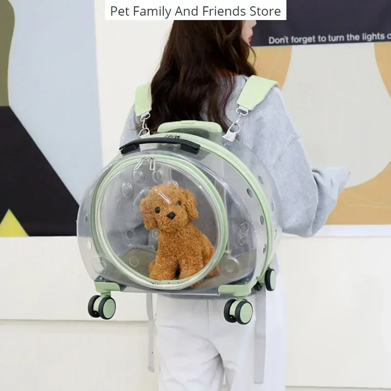 Portable Shoulder Pet Luggage Case, Transparent, Simple Space Capsule, Dog Suitcase, Small, New