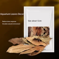 50pcs Natural Leaf Aquarium Filter Terminalia Catappa Foetida Leaves Island Almond Leaf Fish Cleaning Treatment