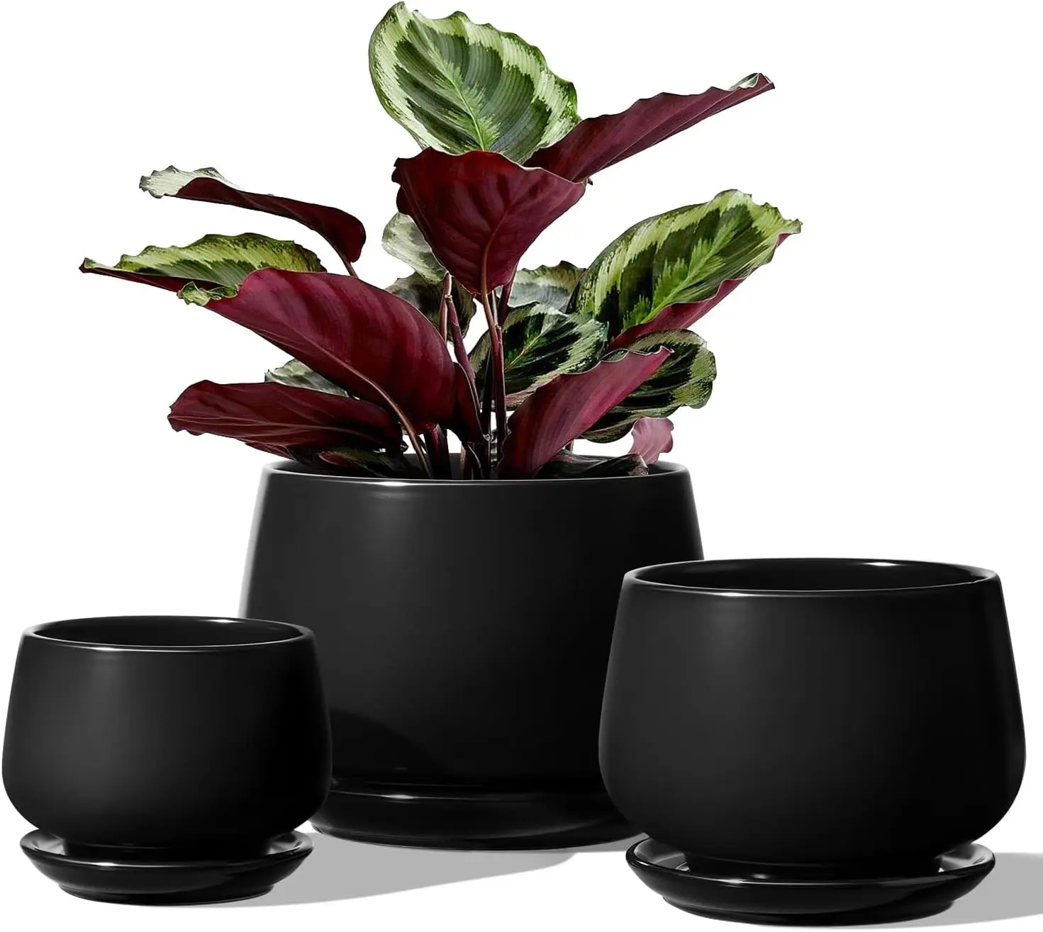 Plant Pots, 4.1+5.1… - image