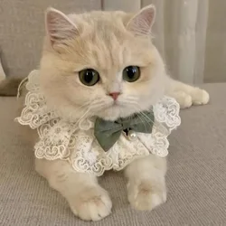 Perle Hunde halsband Juwelen Seide Hochzeit Katze Welpen Band Schal Anhänger Haustier Schleifen Halskette Satin neue Kätzchen Zubehör Fliege Geschenk