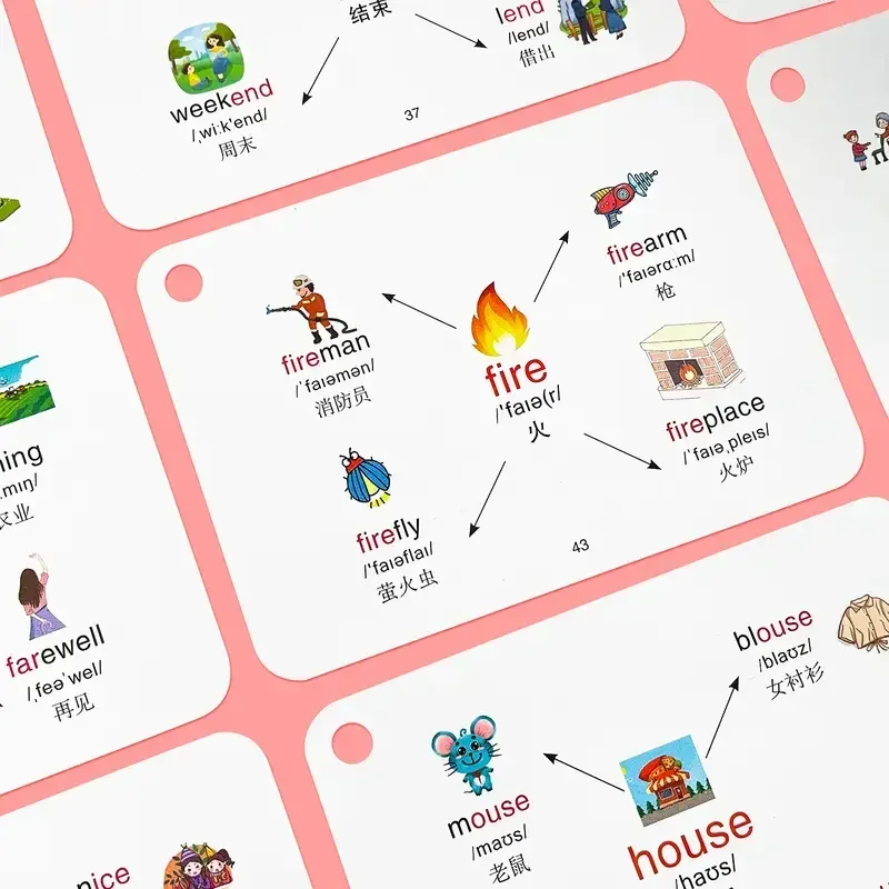 Children English Root Flashcards Phonetic Symbol English Vocabulary Mind Maps 600 Words Quick Memory Learning for Primary School