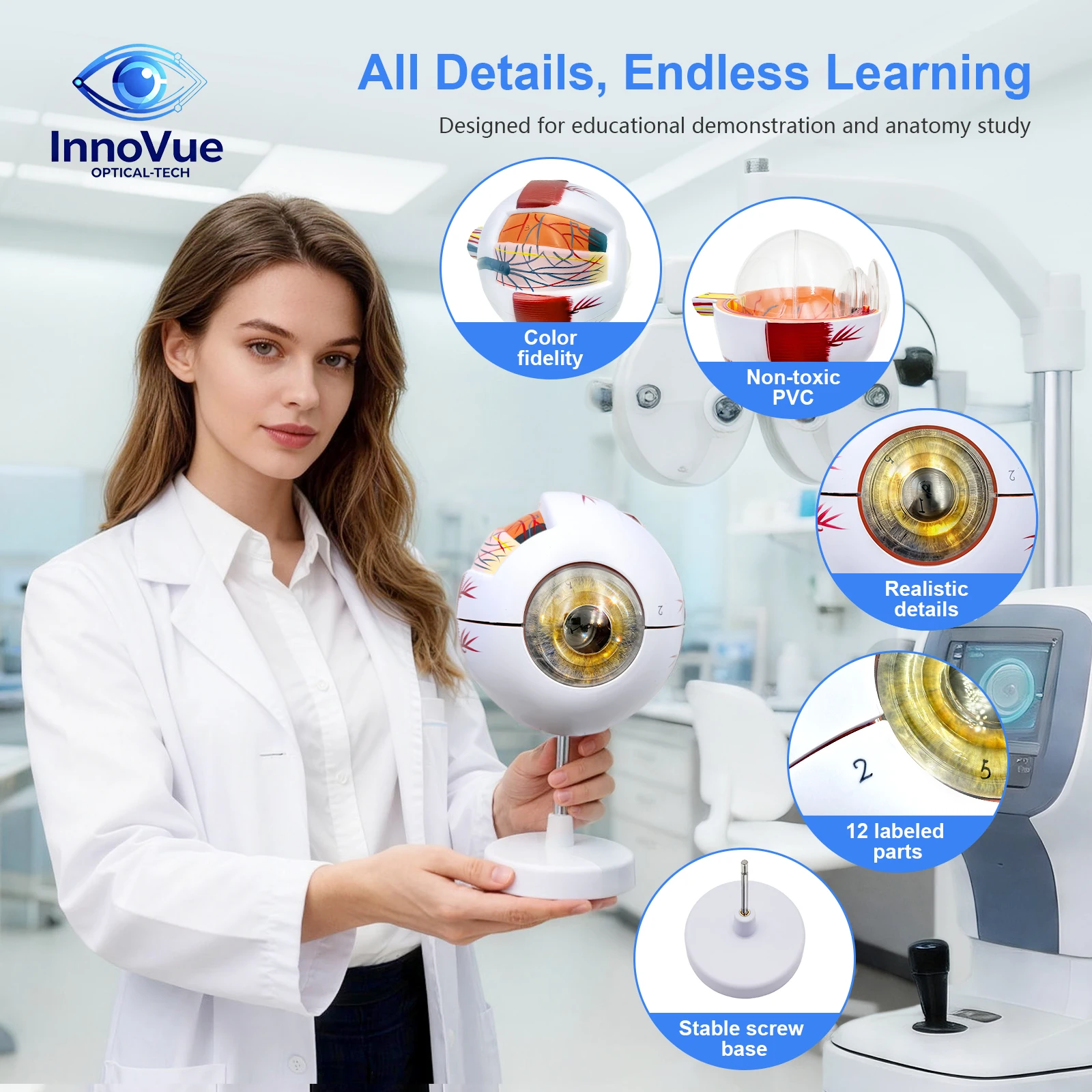 IE-03 Simulated Eye Model-Plastic Anatomy Teaching with for Optometry & Medical Training