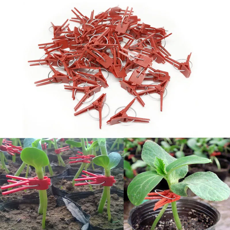 Vegetable Grafting Clips, Round & Flat Mouth Plant Clips for Cucumber Melon Eggplant, Reusable Plastic Garden Nursery Supplies