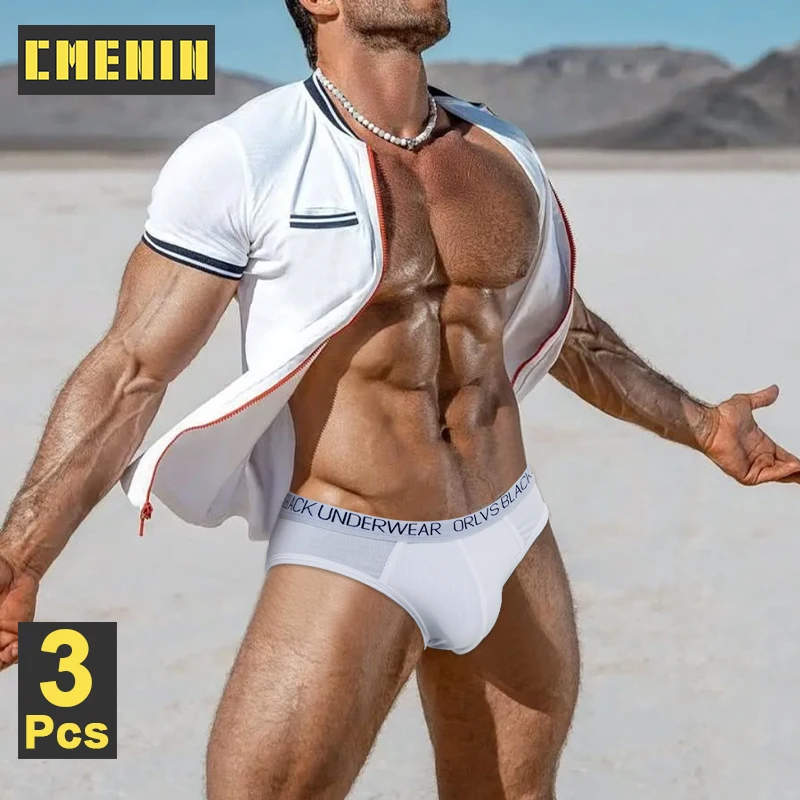 

3Pcs Modal Men's Briefs Low Waist Men's Underwear Sissy Bikini Gays Underpants Breathable Crotch Man Briefs Sexy Mens Panties